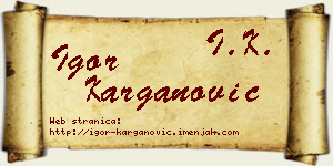 Igor Karganović vizit kartica